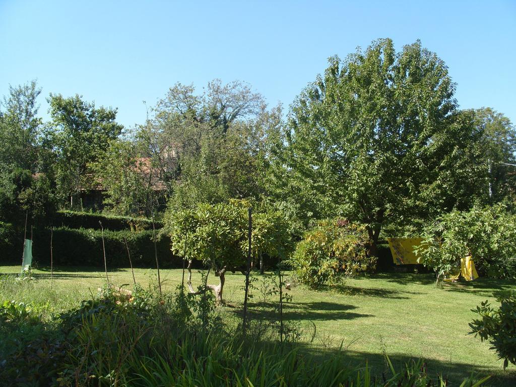 Villa L'Oca Mannara Ameno Exterior foto