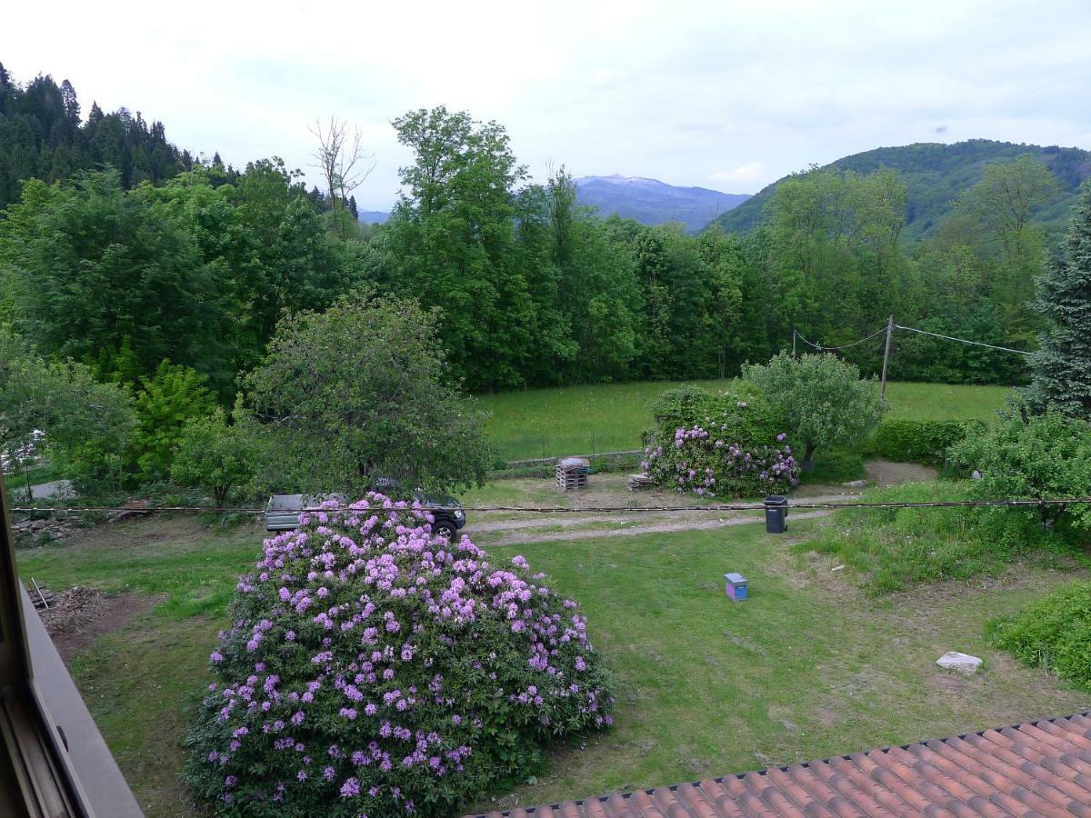Villa L'Oca Mannara Ameno Exterior foto
